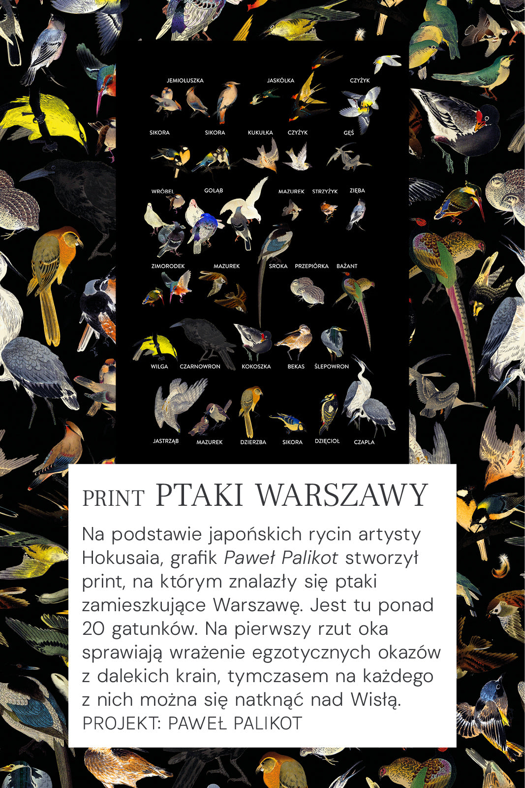 Print Ptaki Warszawy – kolorowy wzór z ponad 20 gatunkami ptaków, inspirowany japońskimi rycinami Hokusai