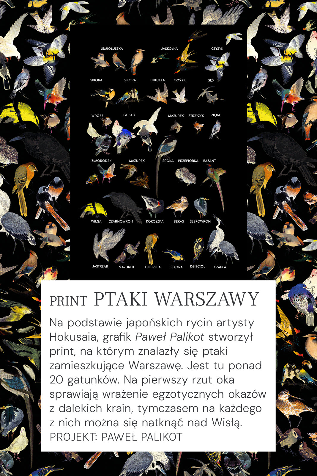 Spódnica AGE OF AQUARIUS print ptaki Warszawy